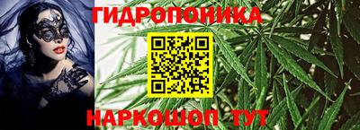 крисы Чебоксары