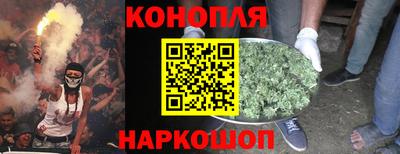 крисы Чебоксары