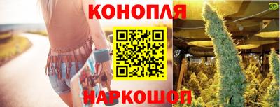 крисы Чебоксары